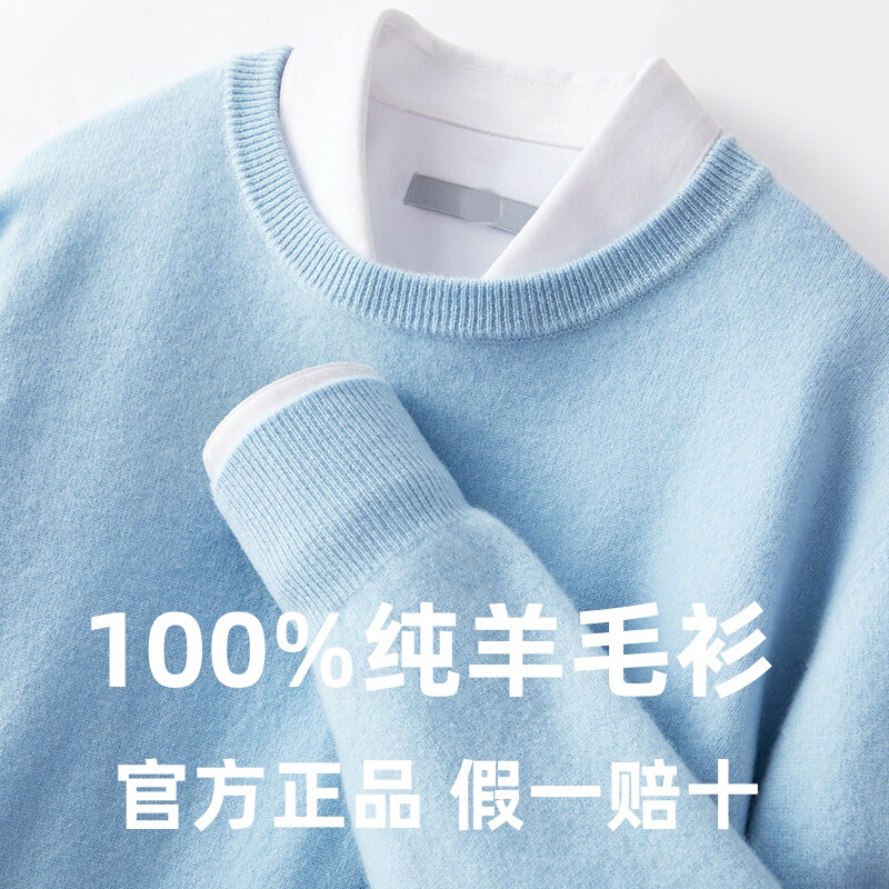 Spring and Autumn New Style Pure Wool Sweater Men's Round Neck Thin Sweater Loose Large Size Knitwear Base Layer Business Men's Clothing