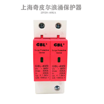 Shanghai Qipier GBL surge protector lightning protection lightning protection power protection 2P 20-40KA test report