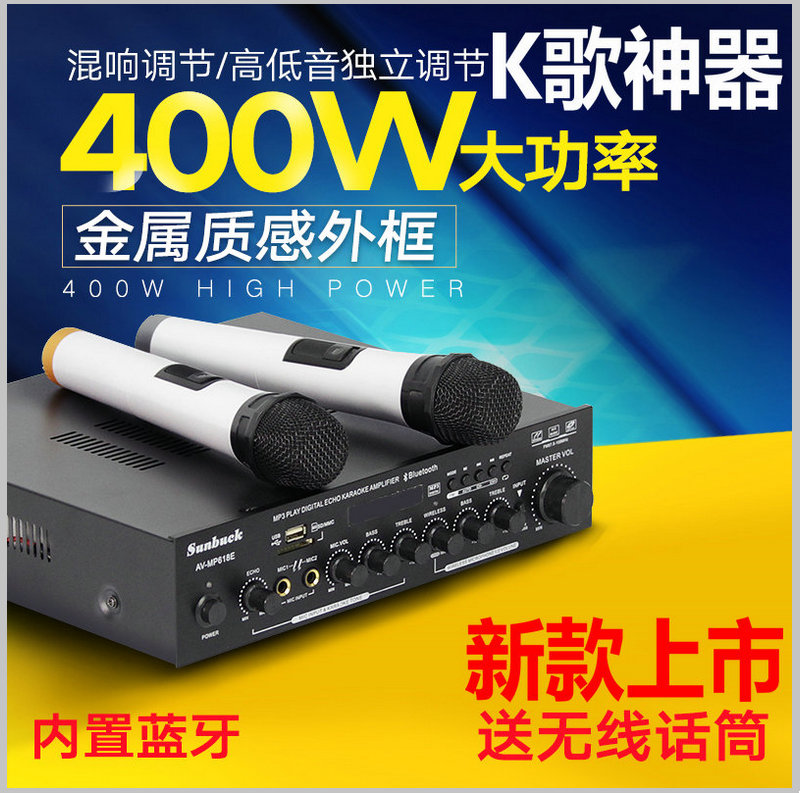 300w High Power Dual Track Hifi Home Conference Karaoke Bluetooth utilitter with wireless dual microphone 618E