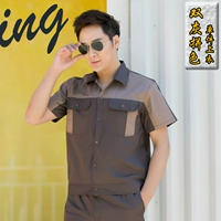 Цвет двойного серого цвета [топ с короткими рукавами]