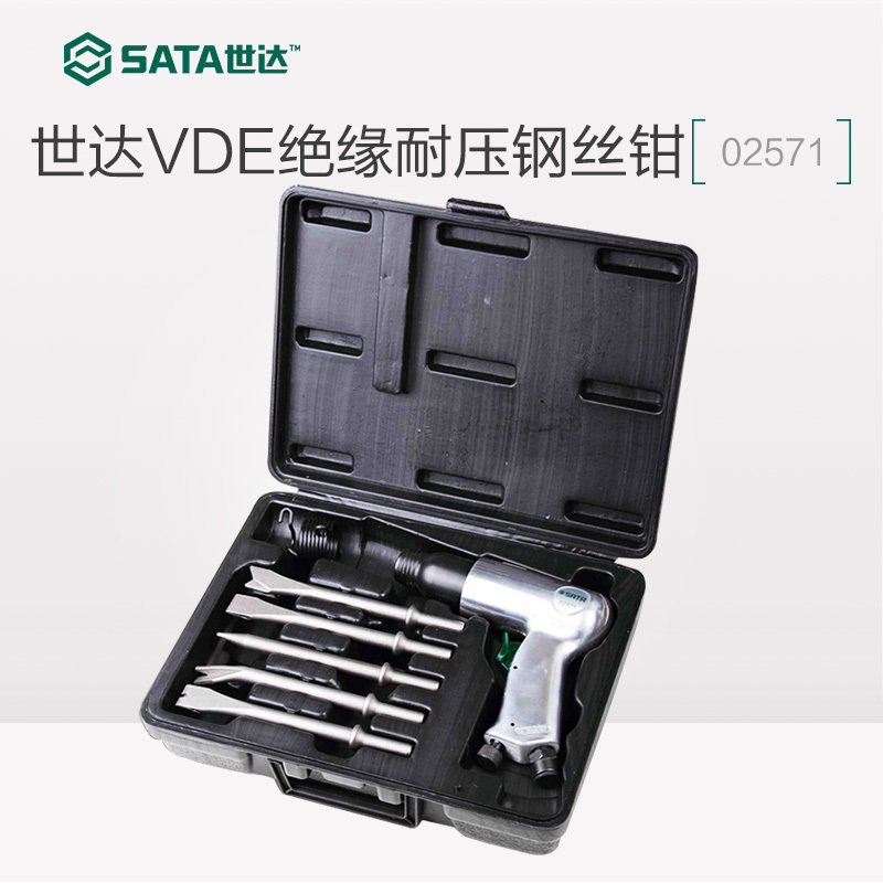 SATA SATA SEDA SEDA SELEAVE SELEAD SELF ABOUT Pneumatic Punching Tool Set 02571