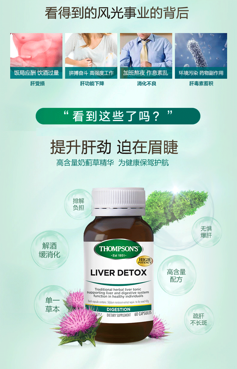 澳洲进口 汤普森 水飞蓟精华胶囊 60粒 护肝夜解酒 图3
