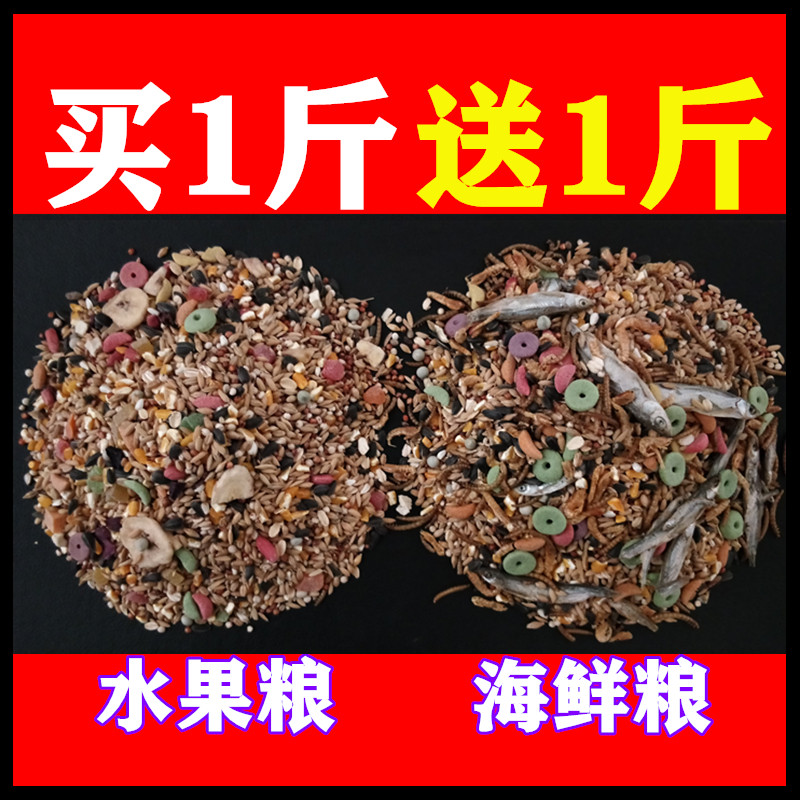 Buy 1 kg of bulk self - equipped gold bear grain hamster grain food fruit food fruit grain nutritional grain feed
