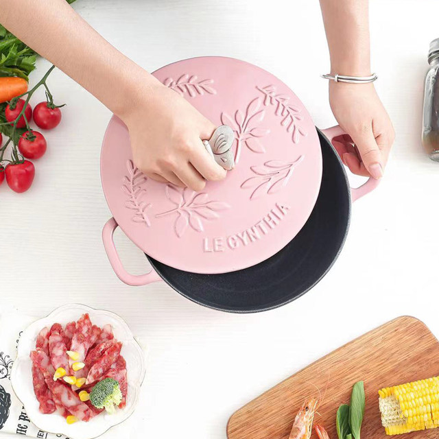 Cynthia Legynthia22Cm Cast Iron Enamel Pot Hot Stew Pot Stew Multi-Function Induction Cooker Gas Universal