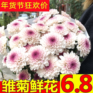 Yunnan Kunming flowers daisy base straight hair lily