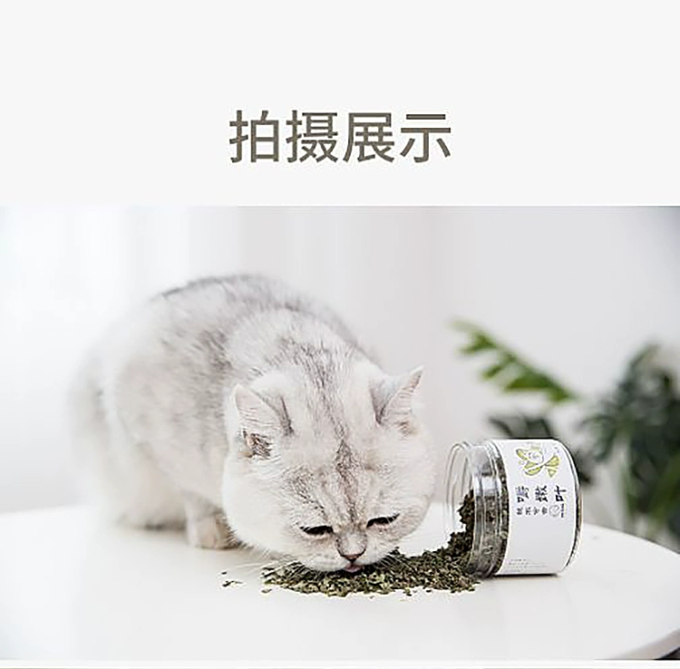 Bột ăn dặm cho mèo catnip loại bỏ bóng lông làm sạch miệng bột cỏ Bohol đồ ăn nhẹ cho mèo đóng hộp lá bạc hà - Đồ ăn nhẹ cho mèo