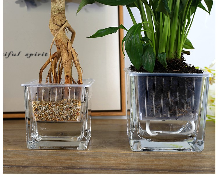 Bình thủy canh xanh thủy tinh chai thủy tinh Tự động tưới bình thủy tinh dày chậu hoa nhỏ - Vase / Bồn hoa & Kệ bình thủy tinh trồng cây