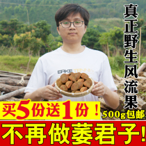 Tibetan wild turtle head 500g Yishenzi Tianzhu grains romantic fruit thick scales increase the vine fruit large selection