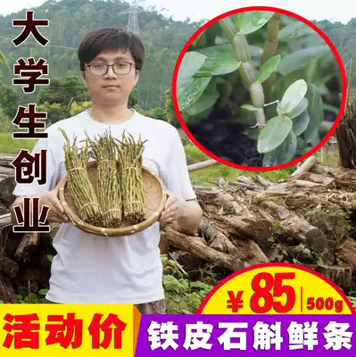 Dendrobium candidum fresh price fresh Dendrobium candidum fresh strips Dendrobium candidum