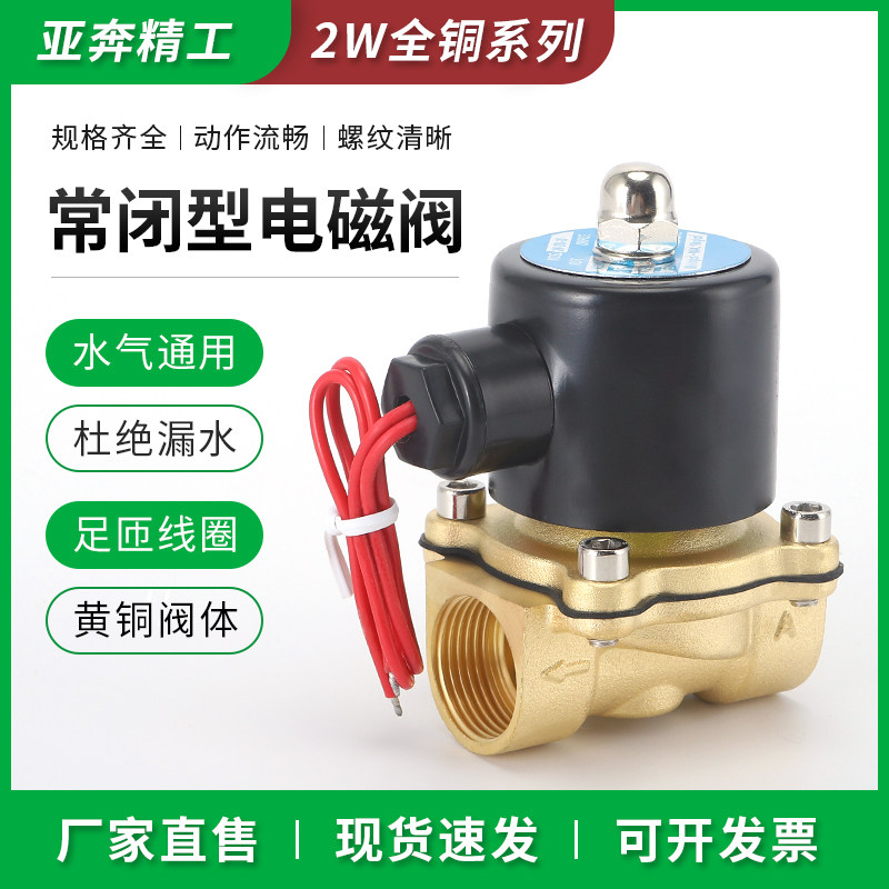 All copper normally closed solenoid valve water valve air valve pneumatic switch valve 4 minutes 6 minutes 220V24V2W160-15 200-20