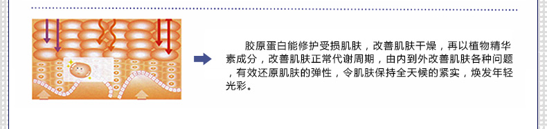 金丝玉帛肌底液多效套装 春夏补水护肤品淡化皱纹保湿 提拉紧致