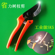 SK5 steel pruning shears garden tools fine steel fruit tree scissors gardening scissors rough shears