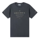 AE1363011 ~/Pure Cotton Comfort