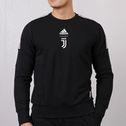 Adidas Adidas Sweater Men 2019 Thu mới Áo thun bóng đá Juventus DP3921 - Thể thao lông cừu / jumper