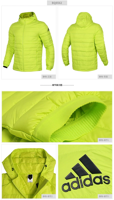 Adidas Adidas Men 2019 New Down Jacket Áo khoác thể thao trùm đầu BQ8562 - Thể thao xuống áo khoác