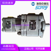SUNNY internal meshing high-pressure gear pump Hytek hydraulic oil pump injection molding machine HG11HG10HG21HG22
