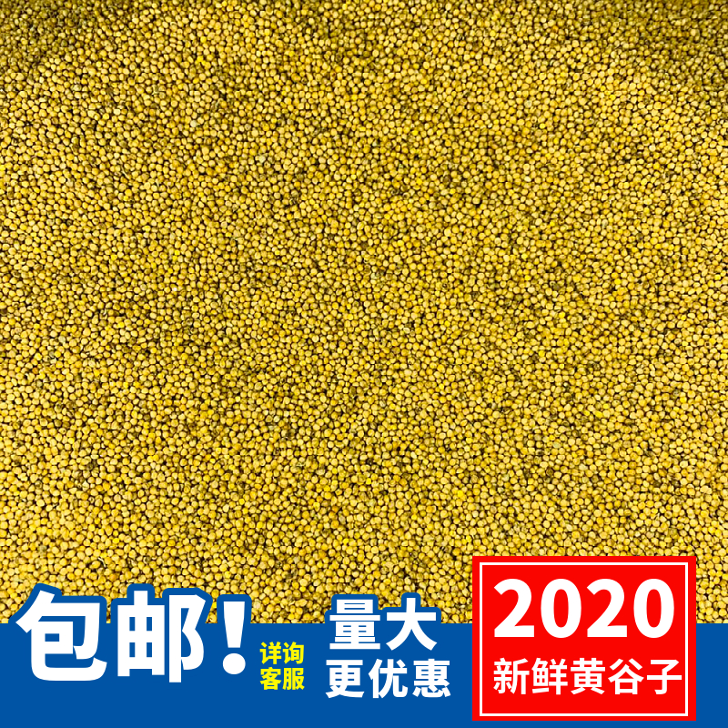 New belt shell Huanggu Zihu Pianfeng peony parrot Wenbird small and medium sized feed bird food with shell yellow millet