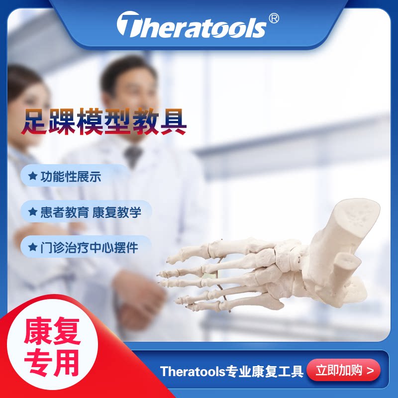 Theratools foot ankle model Osteoarticular Joint Activity Function of Foot Bones Lower Limb Biomechanics