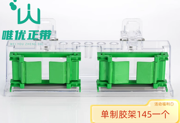 BIO-RAD伯乐Western制胶架电泳实验套组 1653303透明夹子实验器材