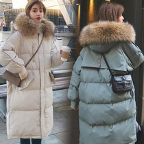 Pregnant womens down jacket cotton clothes in winter late pregnancy Korean version loose cotton-padded jacket coat autumn and winter wear pregnant womens thick coat