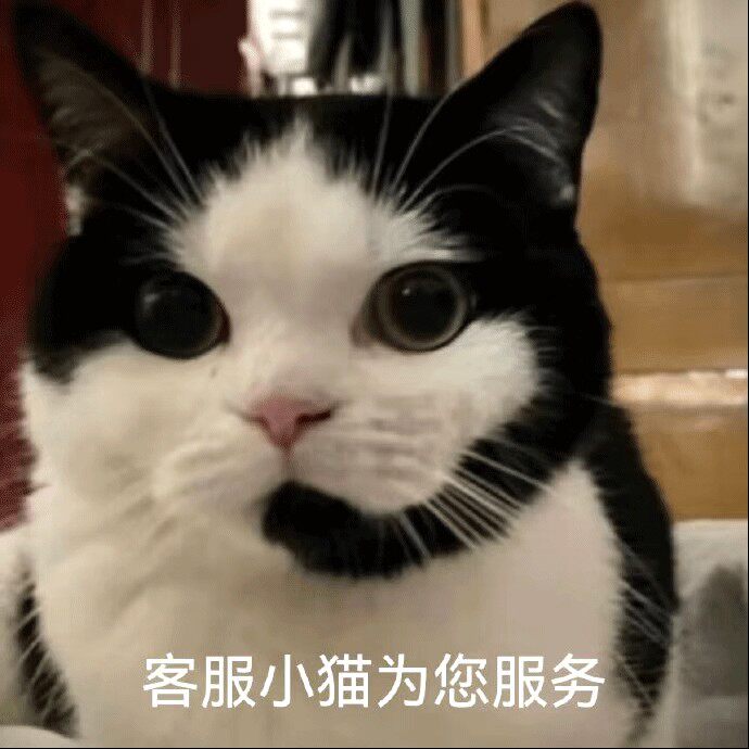 老王在线