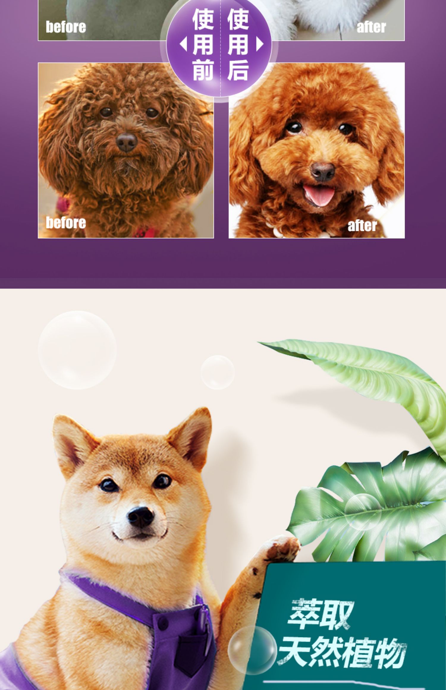 Dog tắm gel mèo Teddy tắm dầu gội đỏ tóc nâu giết chết khử trùng vật nuôi khử mùi vật nuôi - Cat / Dog Beauty & Cleaning Supplies giá lược chải lông cho chó
