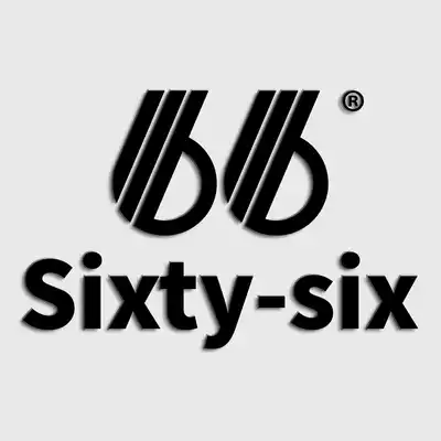 sixty-six skateboard land surfing skateboard longboard female beginner Brush Street professional adult supplement special model