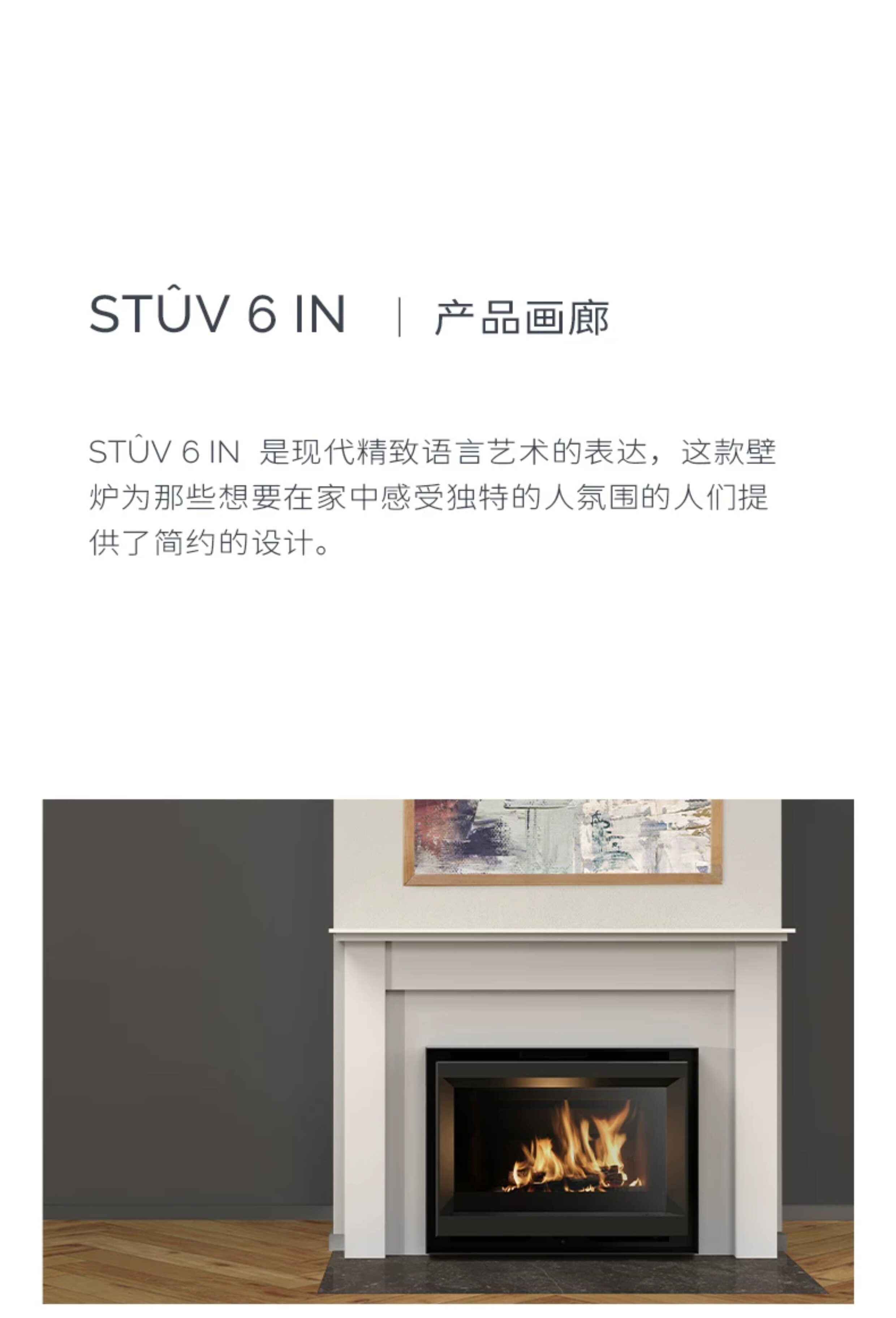 Stûv 6 Cheminée à bois, encastrable — Détails du produit 11