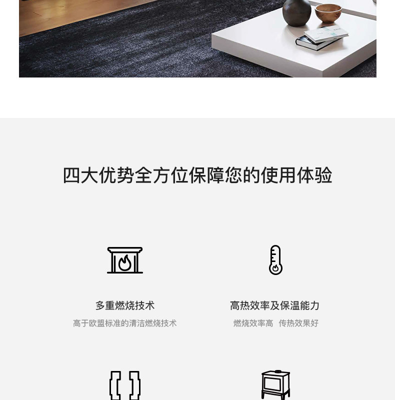 Hergom HGB-70 Chimenea de leña, empotrable — Detalles del producto 7
