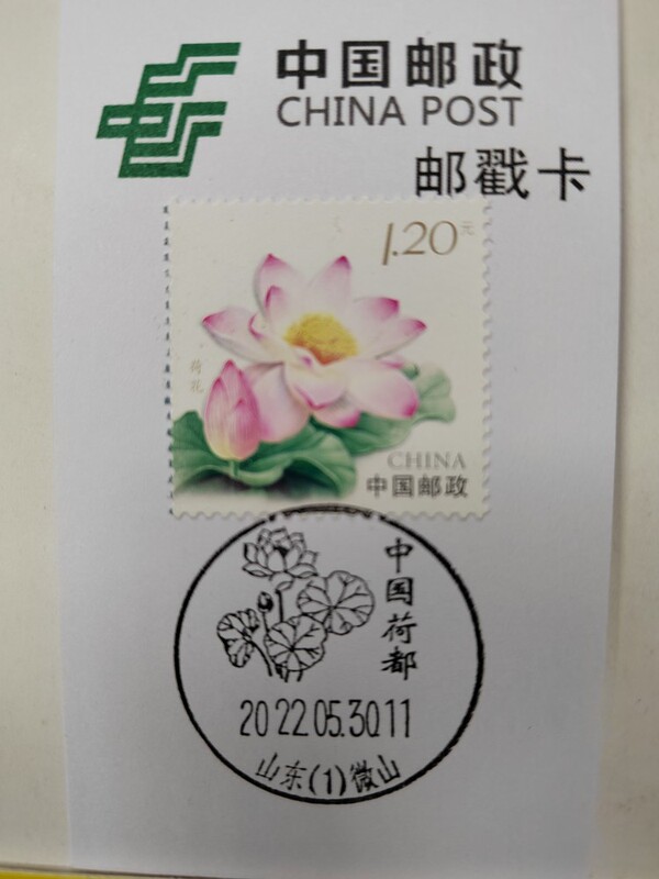 Postmark Card D Shandong Weishan China Lotus Capital Extreme Scenery Postmark Card Lotus Flower Stamp Postmark Card D Shandong Weishan China Lotus Capital Extreme Scenery Postmark Card Lotus Flower Stamp