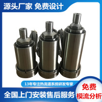 Hot runner hot - water heat runner hot - nozzle single point pound hot mouth design and processing customization