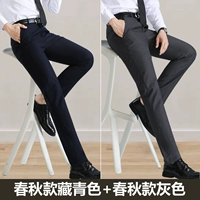 2 части 100] Тибетского Цин (весна и осень)+серый (весна и осень)