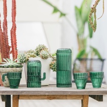 DOIY Spain imported green cactus glass set Retro stacked set of cups cold water jug