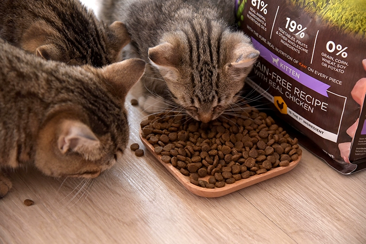 Mèo hình học - Nhập khẩu chống giả Gabriel Gabriel Valley Thung lũng gà Gà sữa Sữa Thực phẩm cho mèo 4,5 lbs - Cat Staples royal canin mèo