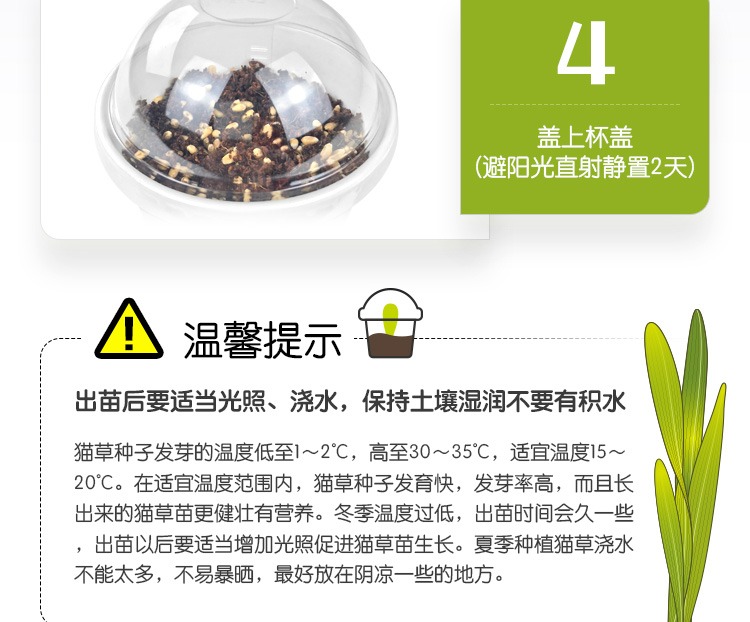 Bộ trồng cỏ mèo của ông Demi, cỏ mèo thủy canh, cỏ mèo, đất, mèo, bạc hà, mèo, snack, chó lông, cỏ - Đồ ăn nhẹ cho mèo thịt hộp