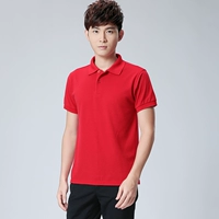 Красный чай улун Да Хун Пао