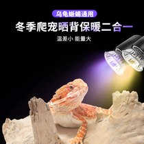 Full spectrum lamp UVB lamp special for turtle basking lamp basking lamp turtle tank climbing platform heating lamp turtle bulb