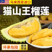 Malaysian Cat Mountain King durian meat d197 fresh imported whole fruit liquid nitrogen Shunfeng Cat Mountain King durian