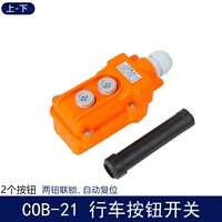 COB-21