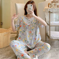 HDX короткая длина TT016-Women