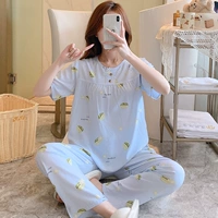 HDX короткая длина TT015-Women