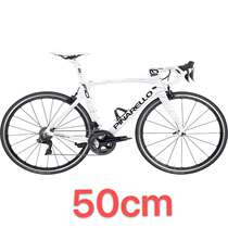 (Physical store spot) PINARELLO F10 F100 frame with warranty