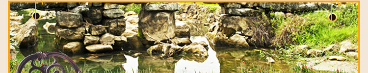 Вырежьте Picture_49.jpg