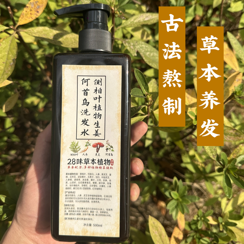 Platycladus Arborvitae Leaf and Polygonum Multiflorum Plant Shampoo, Ginger Anti-Dandruff, Anti-Itch, Oil Control, Traditional Chinese Medicine to Prevent Hair Loss, Pure Herbal Hair Thickening