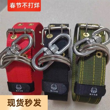 Double-Row Thickened Neck Collar Pet Collar Large Dog Collar Dog Leash Stainless Steel Figure-Eight Swivel Anti-Tangle Strong