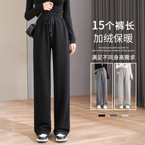 Grey Broadlegged Pants Woman Autumn Winter 2022 New Spring Autumn Straight Drum Pants High Waist Pituitary Loose Mopping Sports Pants