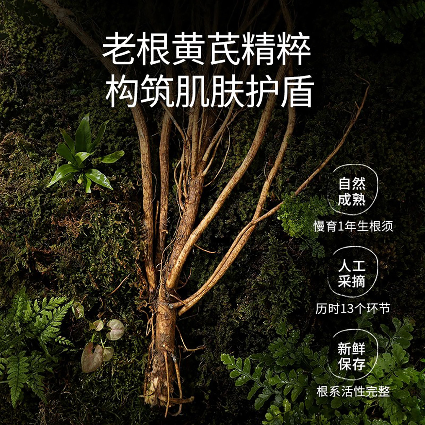 当岁月的温柔被封存于一支面霜中_乳液_淘宝美妆网