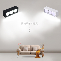 West Plus Downlight led ceiling light light installation living room without main light lighting ceiling spot light hole light double head bile light