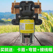 Electric sprayer water pump 12V water pump high pressure intelligent water pump motor self-priming pump diaphragm pump sprayer accessories