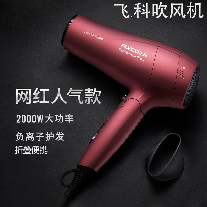 Flying Co Hair Dryer High Power Electric Blow Hair Salon Home Negative cold hot air blower 2200W